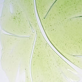 Herbalism Shampoo